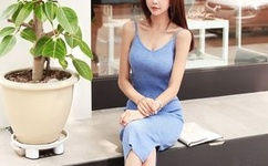 全国超六成锦鲤来自河南